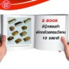 เค้กกล้วยหอมวีแกน
